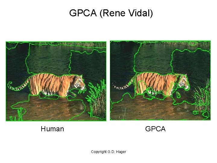 GPCA (Rene Vidal) Human GPCA Copyright G. D. Hager 