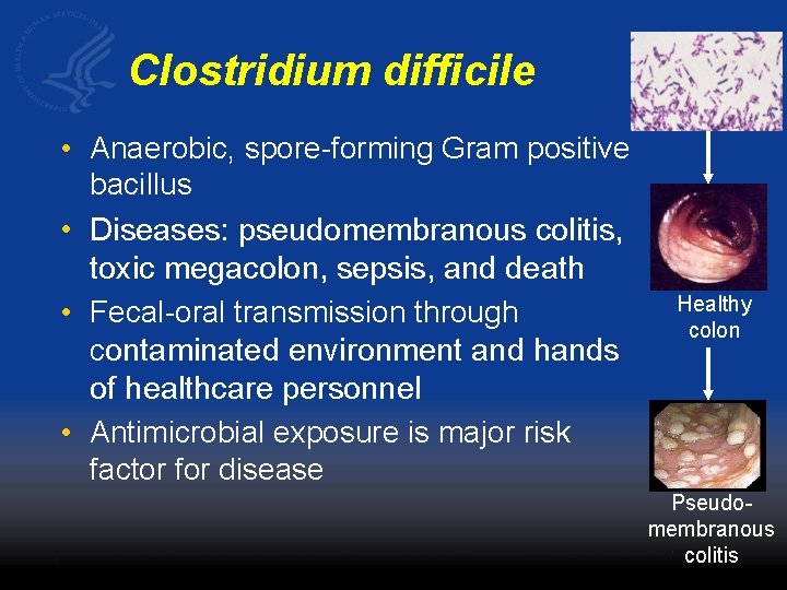 Clostridium difficile • Anaerobic, spore-forming Gram positive bacillus • Diseases: pseudomembranous colitis, toxic megacolon,