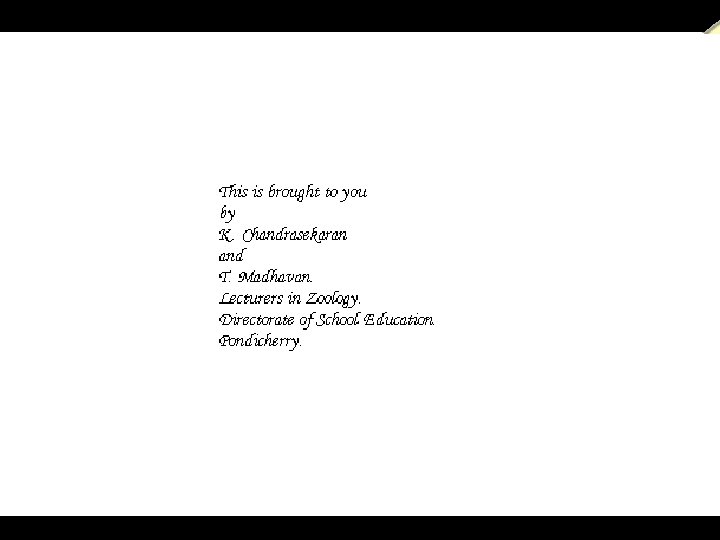  a power. presentation from T. MADHAVAN, & K. CHANDRASEKARAN. , Lecturers in Zoology.