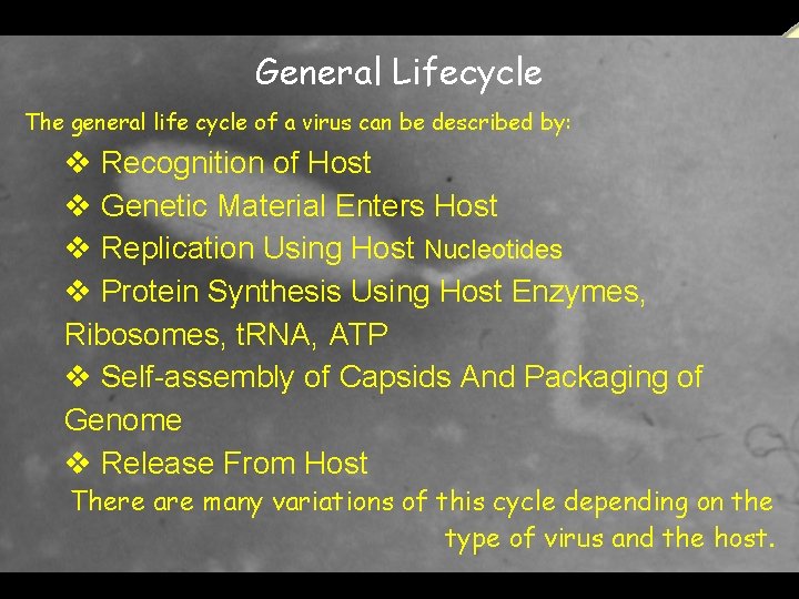  a power. presentation from T. MADHAVAN, & K. CHANDRASEKARAN. , Lecturers in Zoology.