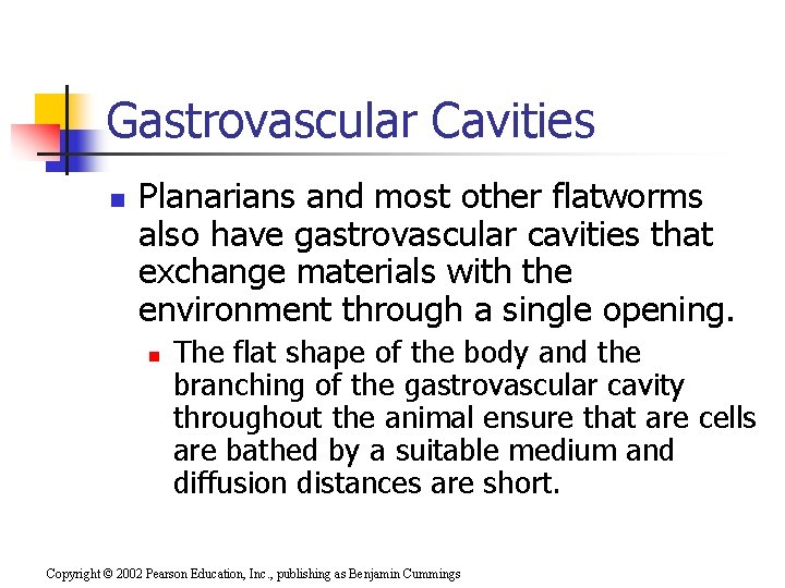 Gastrovascular Cavities n Planarians and most other flatworms also have gastrovascular cavities that exchange