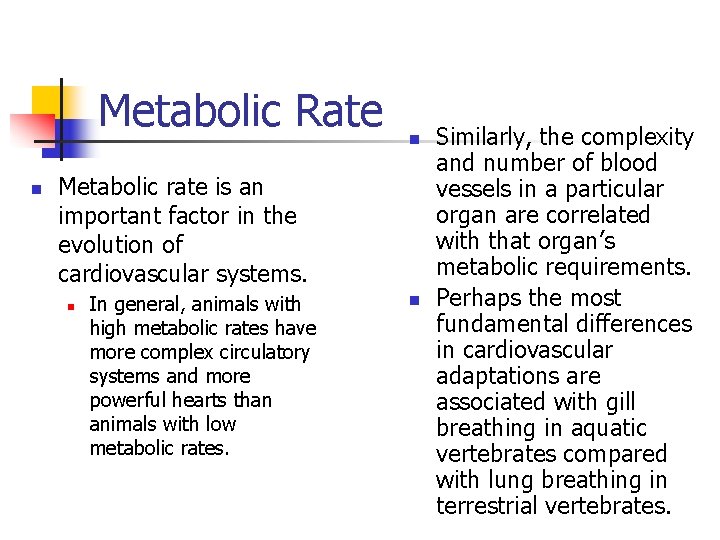 Metabolic Rate n n Metabolic rate is an important factor in the evolution of
