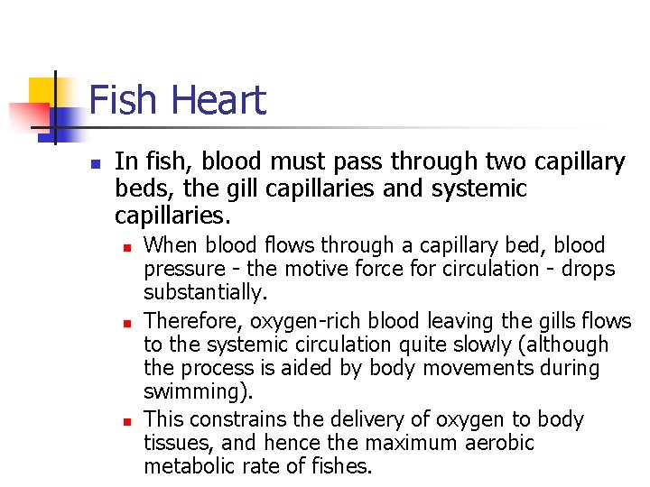 Fish Heart n In fish, blood must pass through two capillary beds, the gill