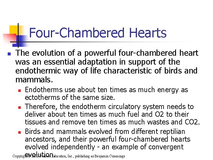 Four-Chambered Hearts n The evolution of a powerful four-chambered heart was an essential adaptation