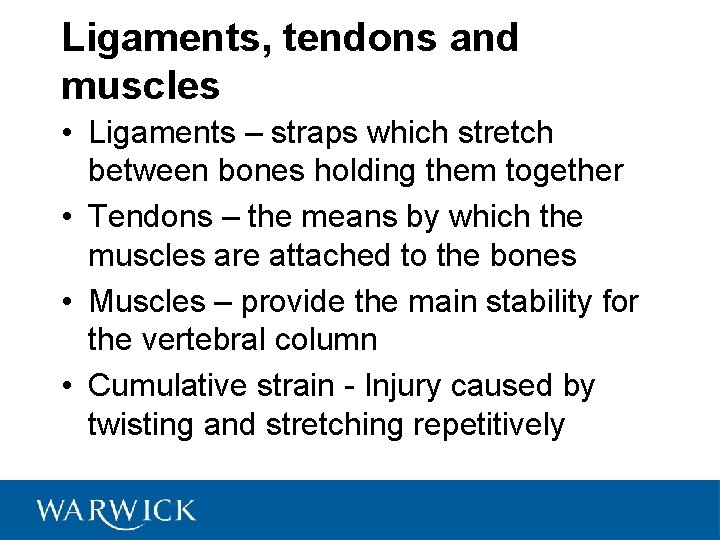 Ligaments, tendons and muscles • Ligaments – straps which stretch between bones holding them