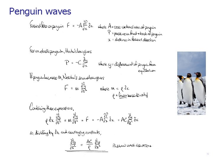 Penguin waves 10 