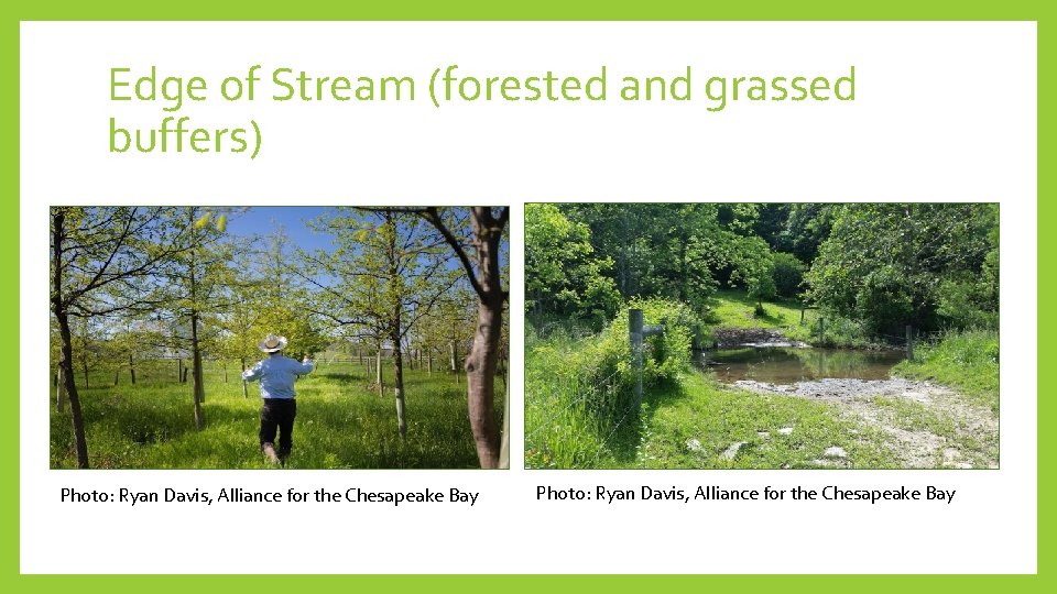 Edge of Stream (forested and grassed buffers) Photo: Ryan Davis, Alliance for the Chesapeake