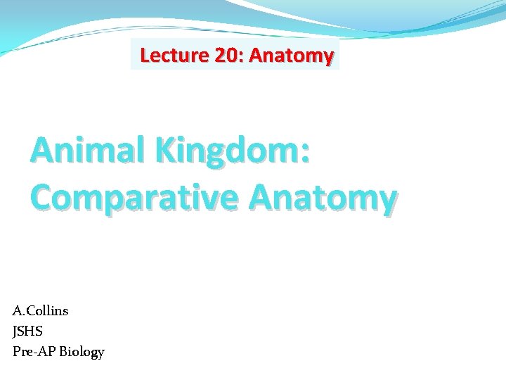 Lecture 20: Anatomy Animal Kingdom: Comparative Anatomy A. Collins JSHS Pre-AP Biology 