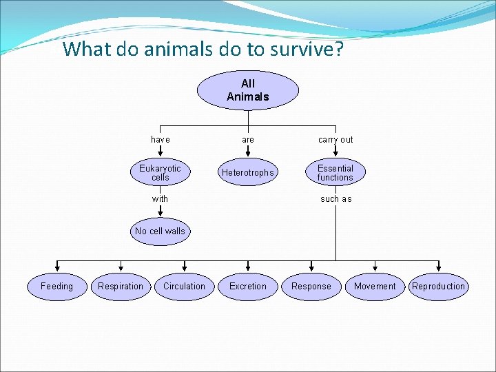 What do animals do to survive? Section 26 -1 All Animals have are carry