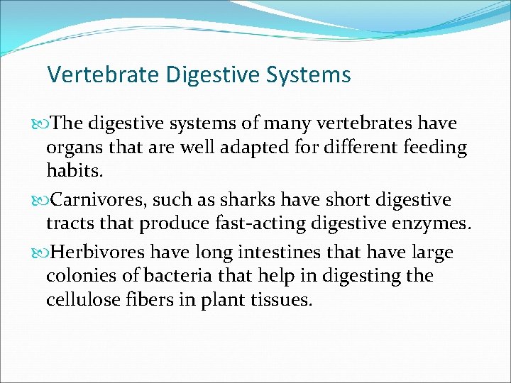 Vertebrate Digestive Systems The digestive systems of many vertebrates have organs that are well