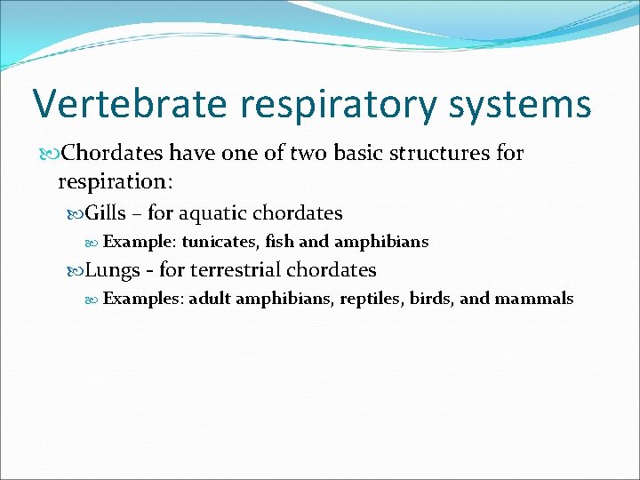 Vertebrate respiratory systems Chordates have one of two basic structures for respiration: Gills –