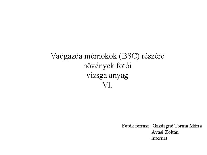 Vadgazda mérnökök (BSC) részére növények fotói vizsga anyag VI. Fotók forrása: Gazdagné Torma Mária