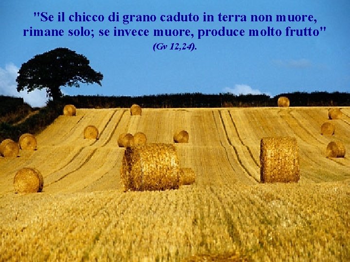 "Se il chicco di grano caduto in terra non muore, rimane solo; se invece