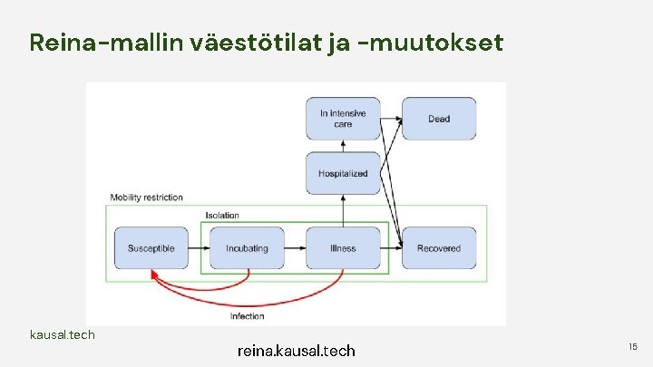 Reina-mallin väestötilat ja -muutokset kausal. tech reina. kausal. tech 15 Reina-mallin väestötilat ja -muutokset kausal. tech reina. kausal. tech 15