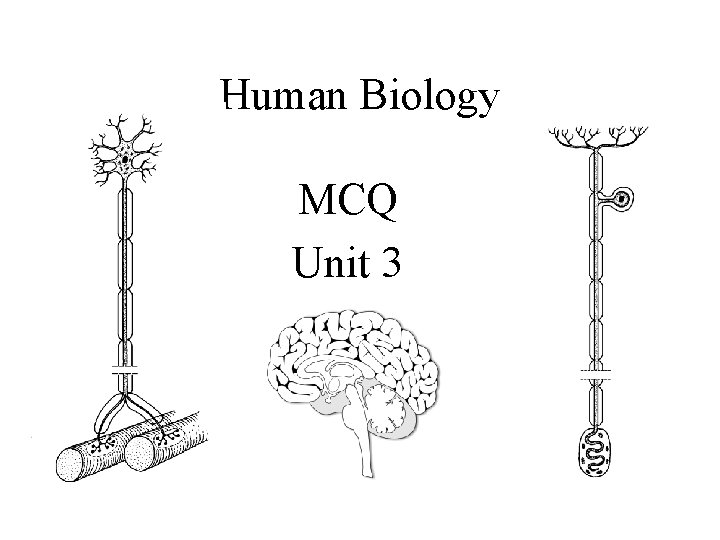 Human Biology MCQ Unit 3 