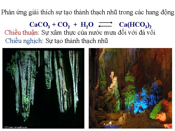 Phản ứng giải thích sự tạo thành thạch nhũ trong các hang động Ca.