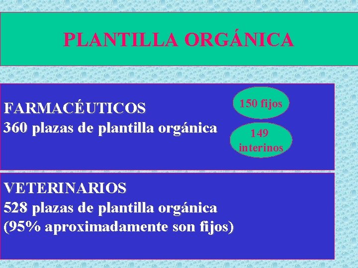 PLANTILLA ORGÁNICA FARMACÉUTICOS 360 plazas de plantilla orgánica VETERINARIOS 528 plazas de plantilla orgánica