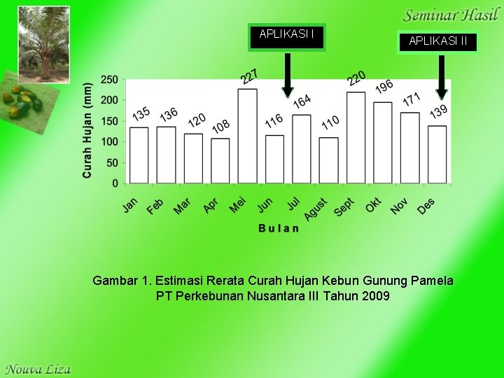APLIKASI II Gambar 1. Estimasi Rerata Curah Hujan Kebun Gunung Pamela PT Perkebunan Nusantara