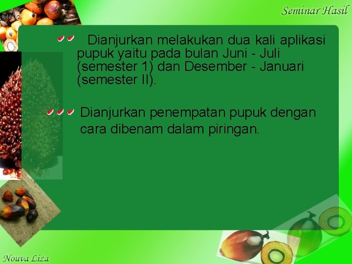 Dianjurkan melakukan dua kali aplikasi pupuk yaitu pada bulan Juni - Juli (semester 1)