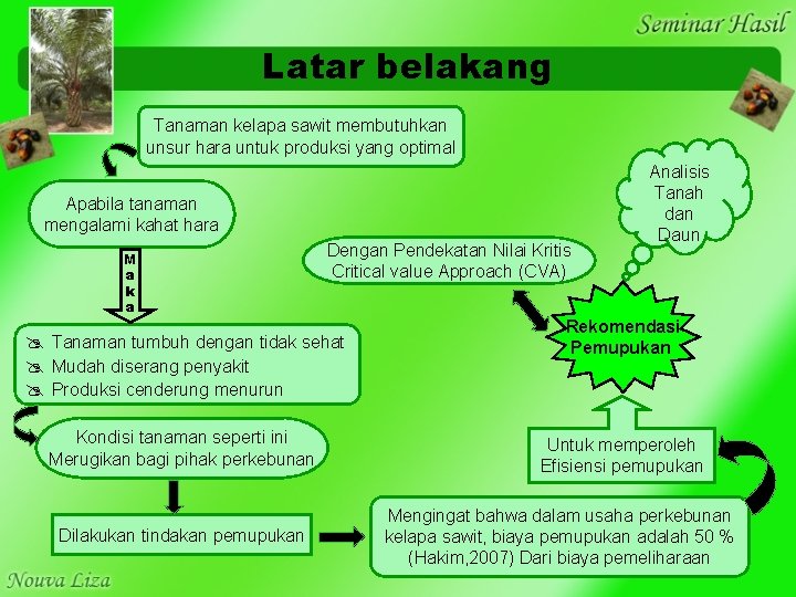 Latar belakang Tanaman kelapa sawit membutuhkan unsur hara untuk produksi yang optimal Apabila tanaman