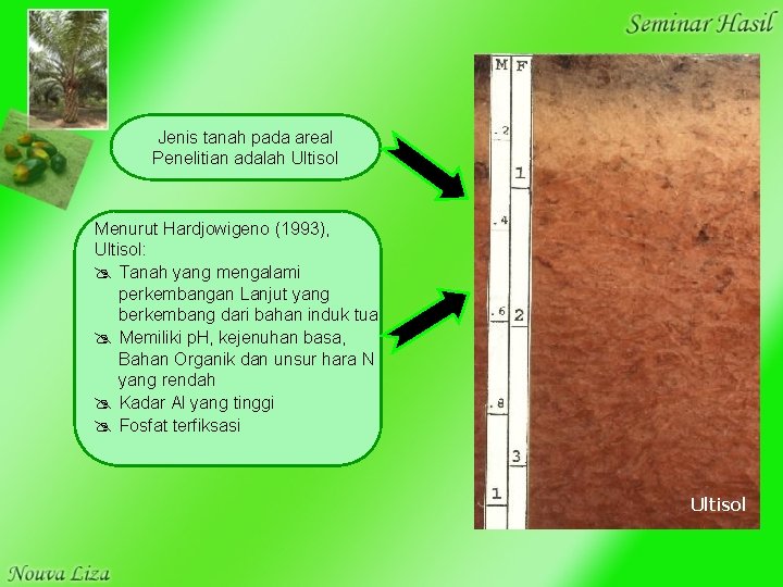 Jenis tanah pada areal Penelitian adalah Ultisol Menurut Hardjowigeno (1993), Ultisol: Tanah yang mengalami
