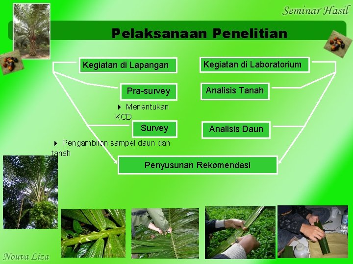 Pelaksanaan Penelitian Kegiatan di Lapangan Pra-survey Kegiatan di Laboratorium Analisis Tanah Menentukan KCD Survey