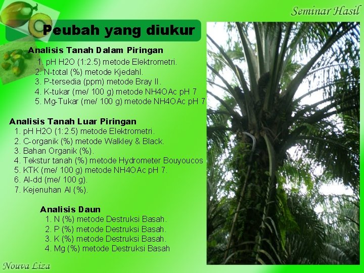 Peubah yang diukur Analisis Tanah Dalam Piringan 1. p. H H 2 O (1: