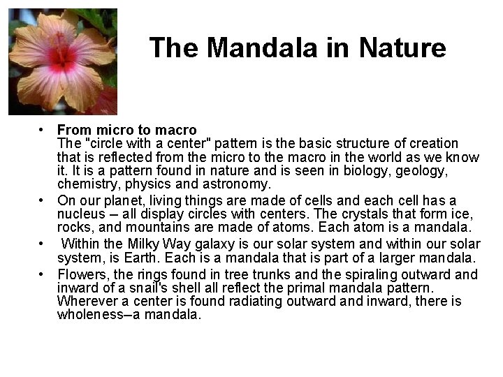The Mandala in Nature • From micro to macro The "circle with a center"