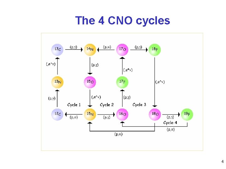 The 4 CNO cycles 4 