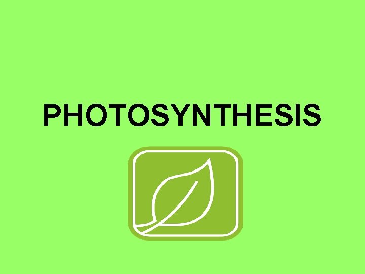 PHOTOSYNTHESIS 