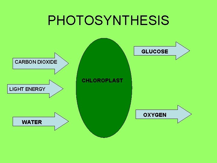 PHOTOSYNTHESIS GLUCOSE CARBON DIOXIDE CHLOROPLAST LIGHT ENERGY OXYGEN WATER 
