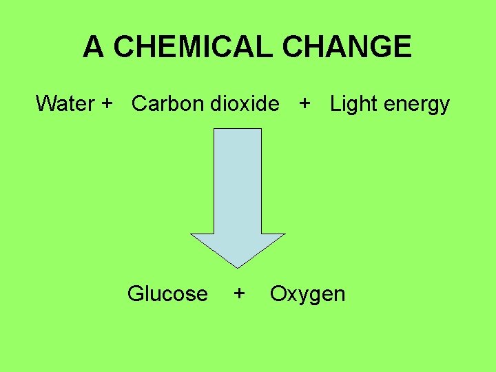 A CHEMICAL CHANGE Water + Carbon dioxide + Light energy Glucose + Oxygen 