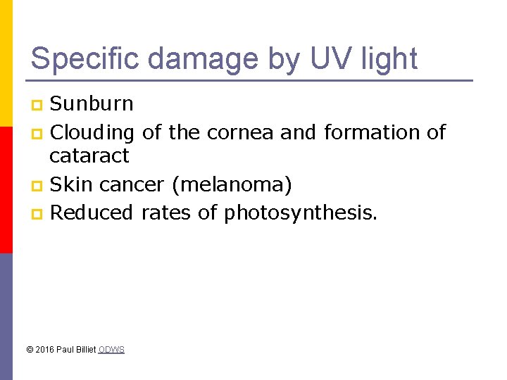 Specific damage by UV light Sunburn p Clouding of the cornea and formation of