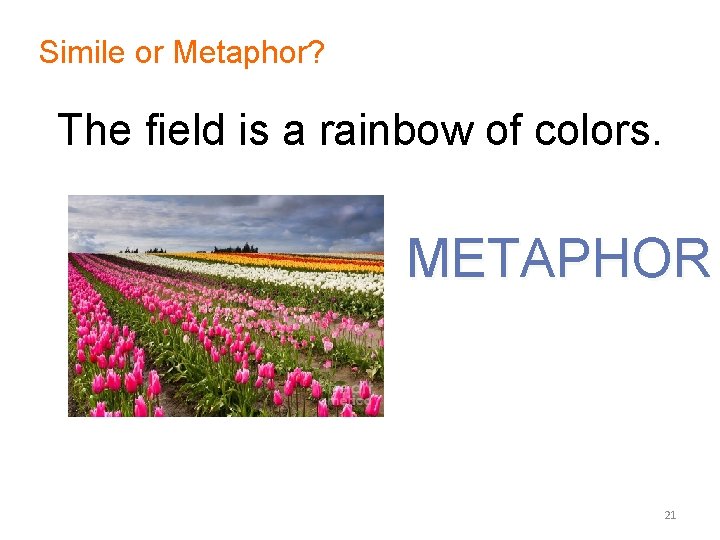 Simile or Metaphor? The field is a rainbow of colors. METAPHOR 21 