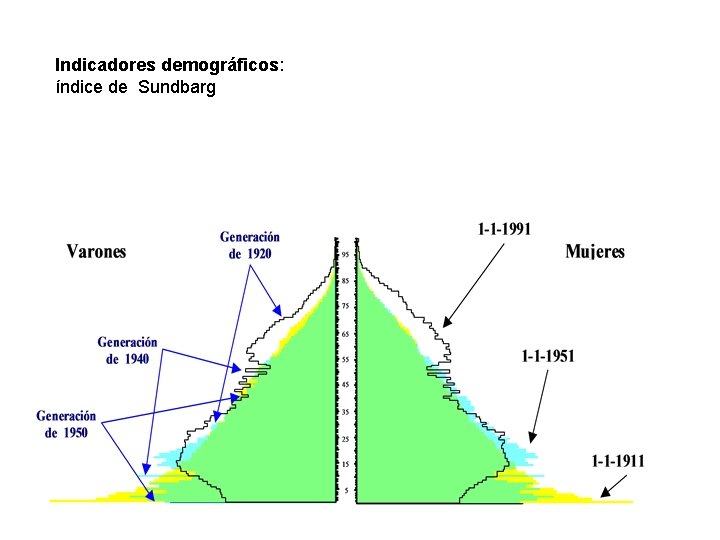 Indicadores demográficos: índice de Sundbarg 