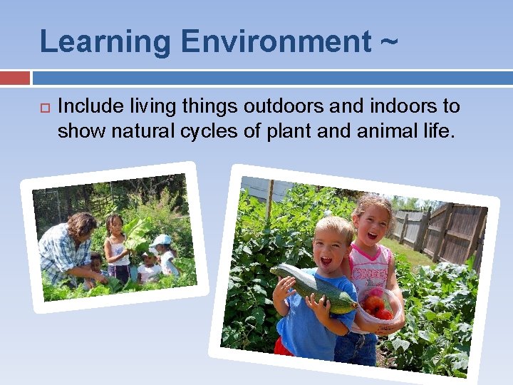 Learning Environment ~ Include living things outdoors and indoors to show natural cycles of