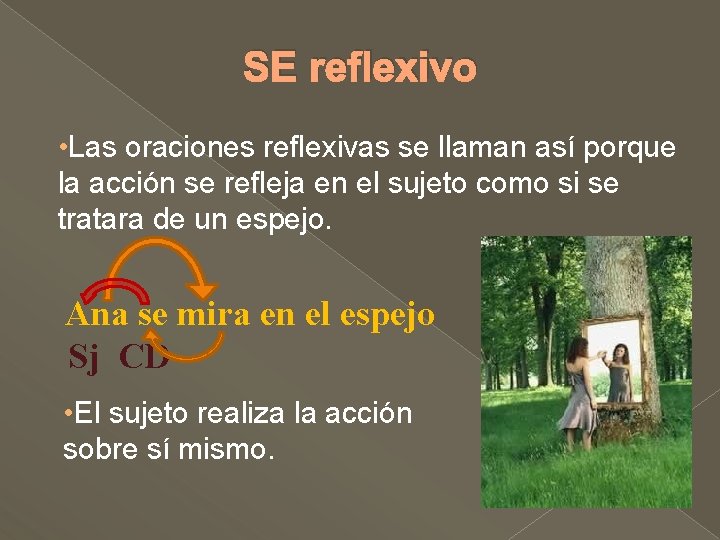 SE reflexivo • Las oraciones reflexivas se llaman así porque la acción se refleja