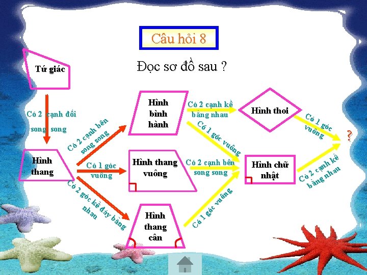 Câu hỏi 8 Đọc sơ đồ sau ? Có 2 cạnh đối ên b