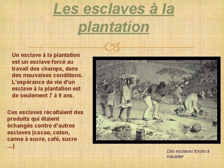 Les esclaves à la plantation Un esclave à la plantation est un esclave forcé