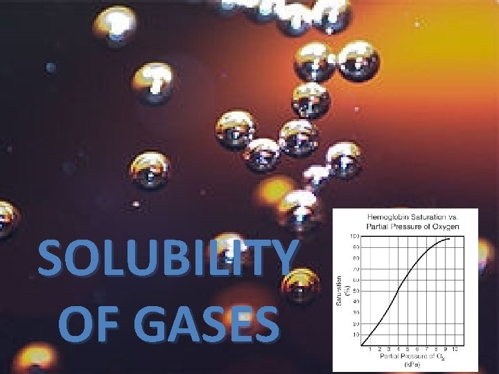 SOLUBILITY OF GASES 