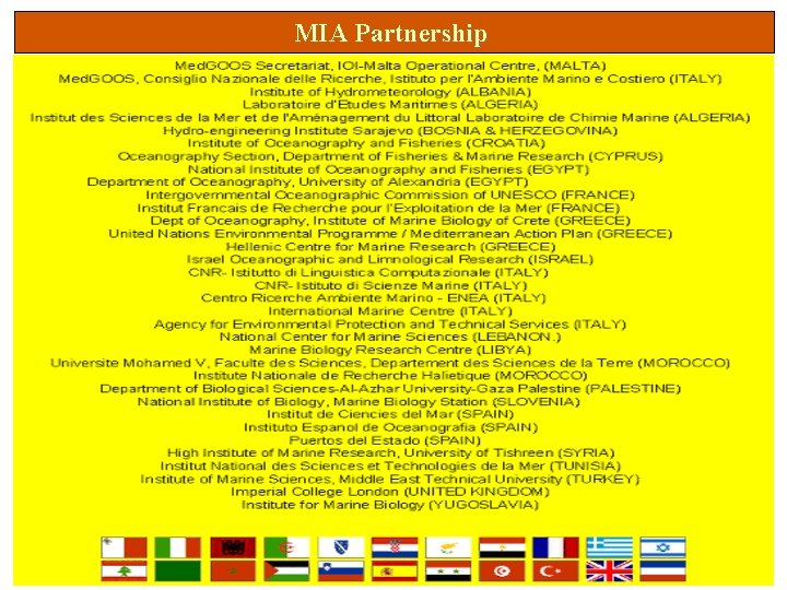 MIA Partnership 