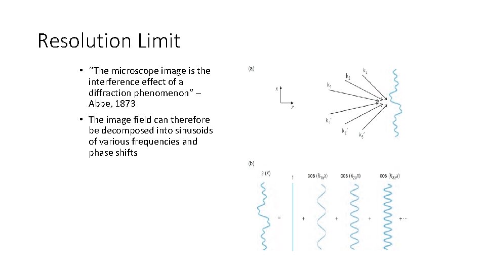 Resolution Limit • ‘’The microscope image is the interference effect of a diffraction phenomenon”
