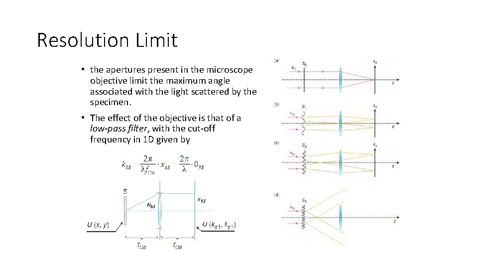 Resolution Limit • the apertures present in the microscope objective limit the maximum angle