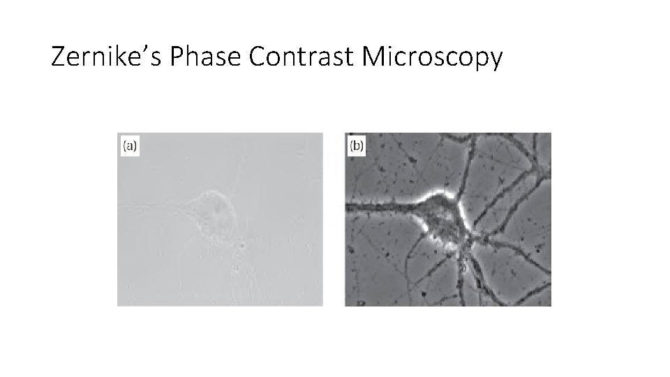 Zernike’s Phase Contrast Microscopy 