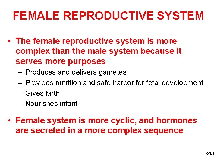 FEMALE REPRODUCTIVE SYSTEM • The female reproductive system is more complex than the male