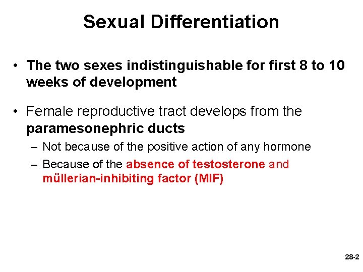 Sexual Differentiation • The two sexes indistinguishable for first 8 to 10 weeks of