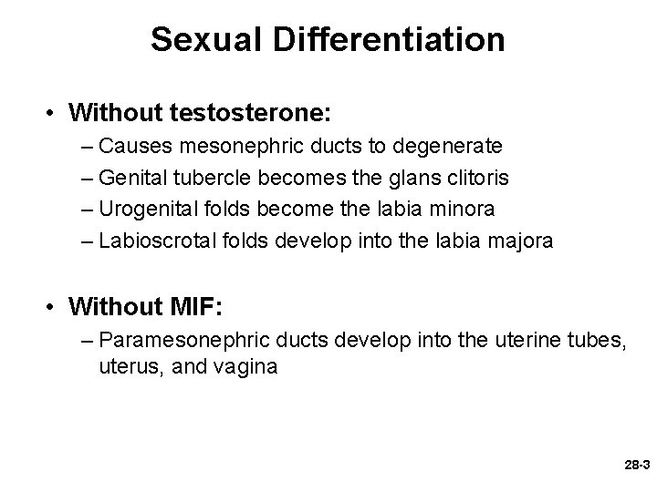 Sexual Differentiation • Without testosterone: – Causes mesonephric ducts to degenerate – Genital tubercle