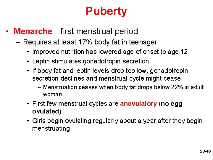 Puberty • Menarche—first menstrual period – Requires at least 17% body fat in teenager