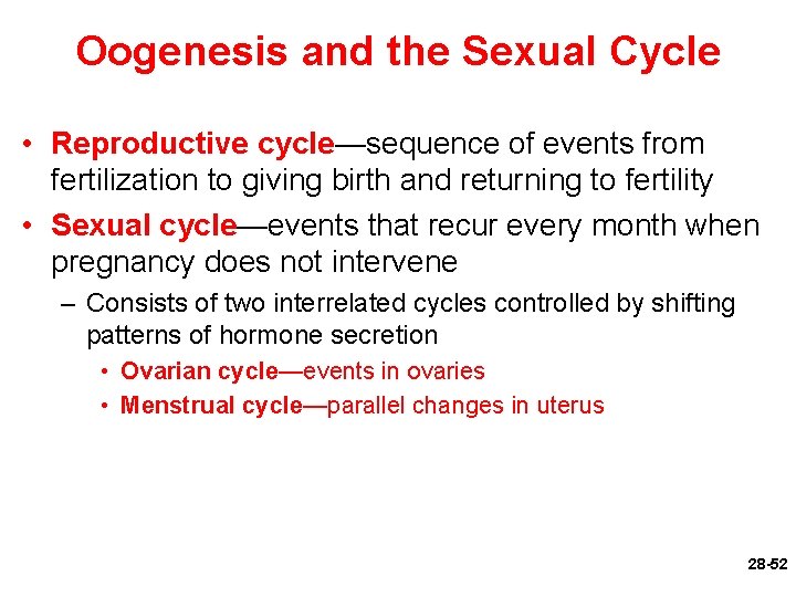 Oogenesis and the Sexual Cycle • Reproductive cycle—sequence of events from fertilization to giving