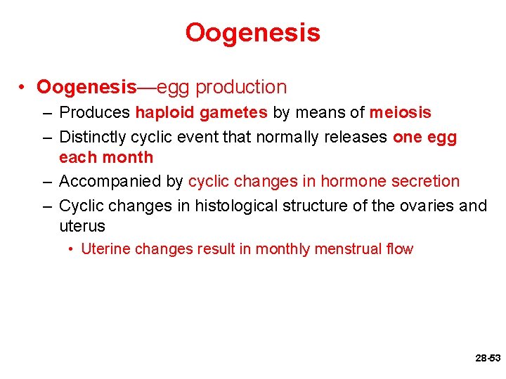 Oogenesis • Oogenesis—egg production – Produces haploid gametes by means of meiosis – Distinctly